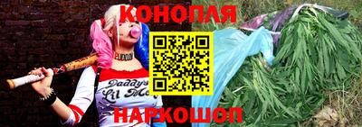 мяу мяу мука Будённовск