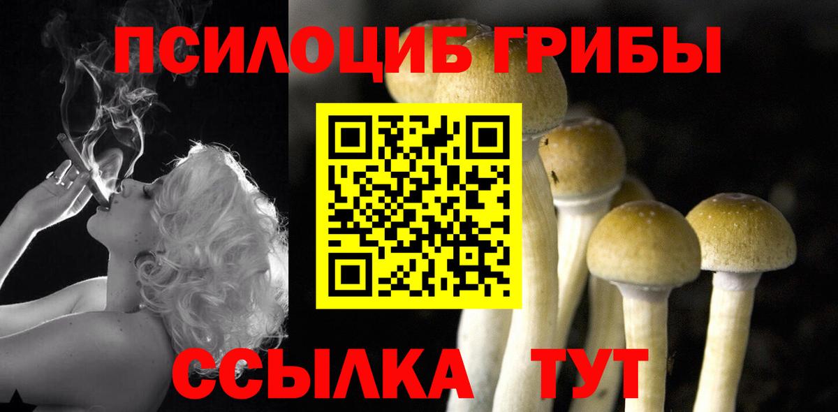 Псилоцибиновые грибы мухоморы Полысаево