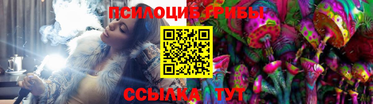 цена   Вход с VPN  Полысаево  Галлюциногенные грибы MAGIC MUSHROOMS  Псилоцибиновые грибы Psilocybine cubensis 